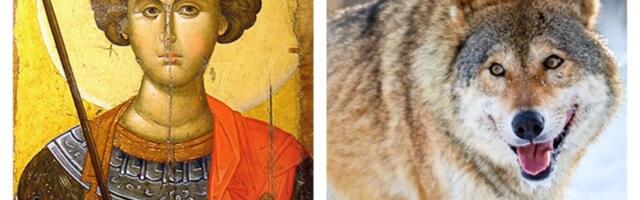 Sutra je Đurđic i kreću „vučiji dani": Po narodnom verovanju to je NAJOPASNIJI PERIOD u godini i evo kakva će nam BITI ZIMA