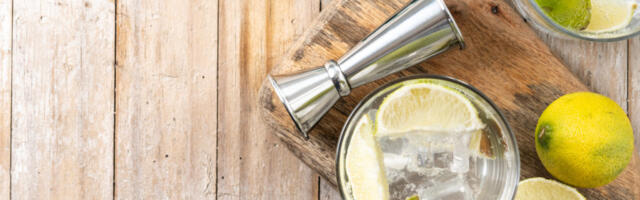 Džin-tonik: Zašto se smatra jednim od “najblažih” alkoholnih pića i šta je Čerčil govorio o njemu