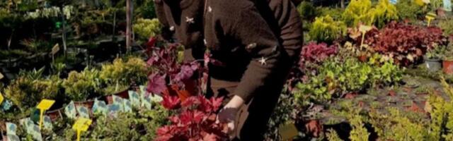 Memedovićeva bivša žena okopava u rasadniku: Sama sređuje svoje imanje nadomak Beogada, evo kako izgleda