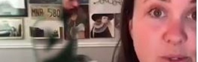 Čovek nosi Grinman odelo da bi postao nevidljiv na onlajn sastancima, ali sve je nekako pošlo po zlu!