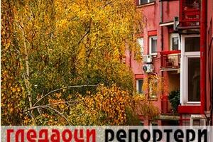 Гледаоци репортери (23. новембар 2022)