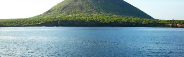 Poslednji put ju je video Darvin: Na Galapagosu se posle 200 godina pojavila ptica koja je smatrana izumrlom