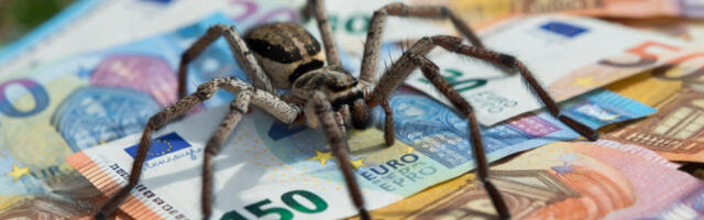 Narodno verovanje mu donelo bogatstvo: Mehaničar zbog pauka bogatiji za 600.000 evra