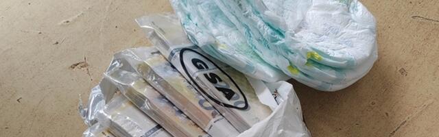 Evri i dolari skriveni u pelenama