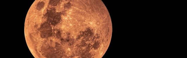 Kako će Venera u Biku uticati na nas?