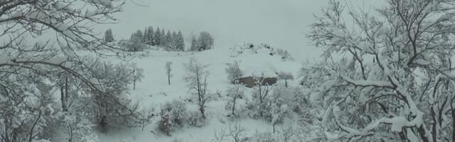U ovom delu Srbije će sutra pasti pola metra snega: Očekuju se i snežni nanosi i smetovi