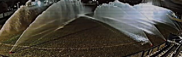 Drama srpskog kluba: Nepoznata osoba ušla na teren i napravila katastrofu! /VIDEO/