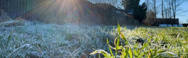 Ujutru mraz, tokom dana toplije: Najviša dnevna do 20 °C