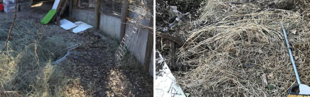 Kupio kuću, a onda zanemeo ŠTA je pronašao u dvorištu! Život mu se istog trenutka preokrenuo (FOTO)