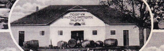 Kako su Vlasotinčani našli „vezu“ za izgradnju prvog vinskog podruma