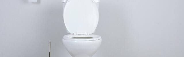 Fotka javnog toaleta u Mađarskoj postala je hit na društvenim mrežama, odmah će vam biti jasno zašto!