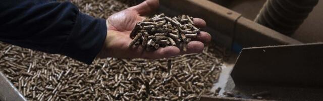 Tržište peleta se stabilizovalo, cena oko 37.000 dinara po toni