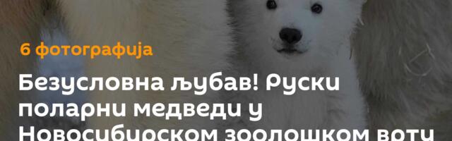 Безусловна љубав! Руски поларни медведи у Новосибирском зоолошком врту /фото/