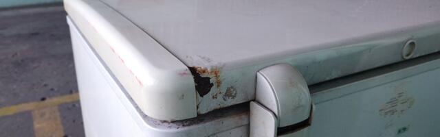 Brat našao telo sestre (28) u zamrzivaču: Policija sumnja na užasan zločin