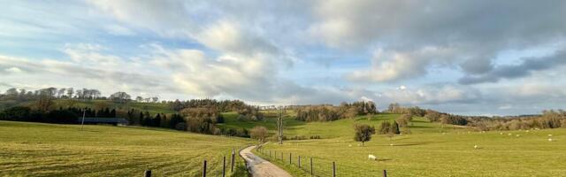Nevrovatan biznis gde Srbi mogu da zarade: Skupite ih ovoliko i možete da ih prodate restoranima, daju velike pare