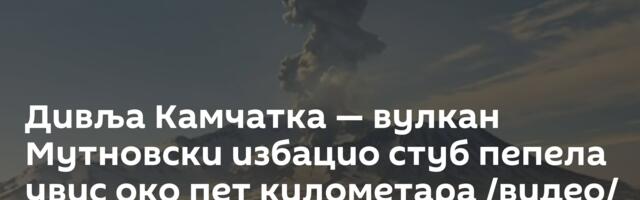 Дивља Камчатка — вулкан Мутновски избацио стуб пепела увис око пет километара /видео/