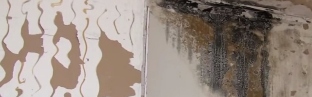 Domaća sredstva koja efikasno otklanjaju buđ: Oslobodite se plesni jer ona može da naškodi zdravlju