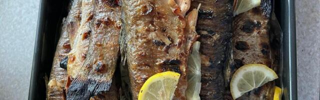 BONUS TRIK KUVARA! 1 začin prosto MORATE DA STAVITE - kako da za 10 minuta pastrmka bude kao u skupom restoranu?