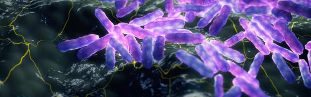 Prvi slučaj u komšiluku nakon tri decenije: Šta je guba i koji su prvi simptomi