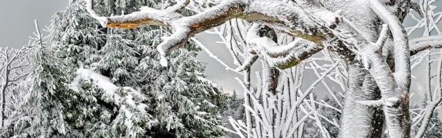 Meteorolog otkrio u kom delu Srbije će prvo pasti sneg: Evo kakve temperature nas čekaju do kraja godine