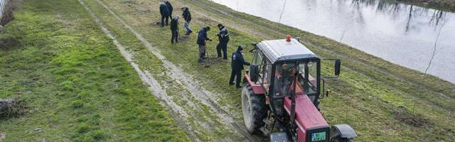 Počela godišnja akcija pošumljavanja – na redu Zrenjanin, Sečanj, Novi Bečej…