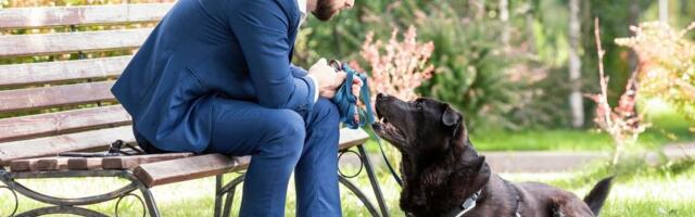 Zašto psi naginju glavu kad im se obraćate? Nije samo zato što razumeju šta im govorite