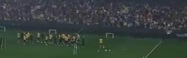 Nestvarne scene u Atini, 20 hiljada navijača pozdravilo Marka Nikolića i njegov AEK – na treningu! /VIDEO/