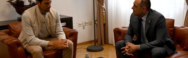 Ljubodrag Stojadinović: Đoković na trežnjenju