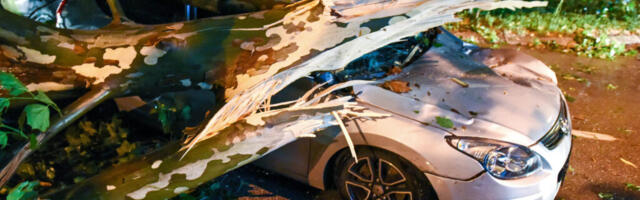 Marko Blagojević: Rano je za procenu štete od oluje