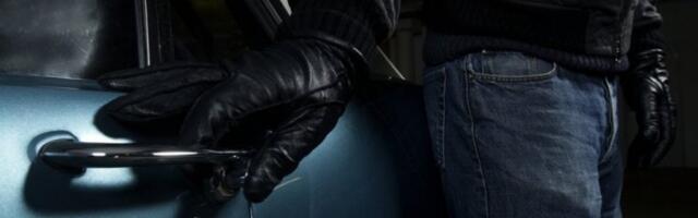 DRAGAN I BANE IZVELI MILIONSKU PREVARU PO EVROPI: Austrijska policija traga i za Srpkinjom