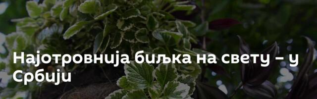 Најотровнија биљка на свету – у Србији