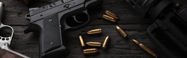 Hapšenje na aerodromu: Srbin i Crnogorci nosili municiju, među njima i dete (14)