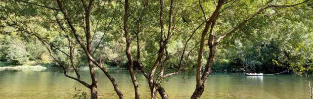 Пронађено беживотно тело старије жене у реци Врбас