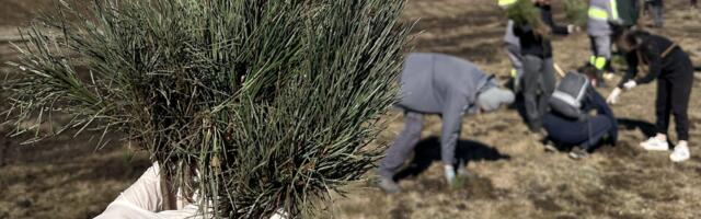 Zeleniji Zlatibor za nove generacije