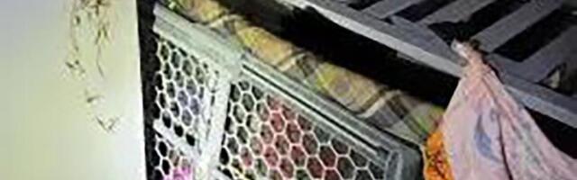 MUŽA MESECIMA DRŽALA U KAVEZU ZA PSE, prisiljavala ga na GADOSTI: Komšije ga nisu prepoznale kad su ga NAŠLE!