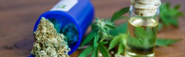 U BIH usvojena odluka o legalizaciji kanabisa u medicinske svrhe