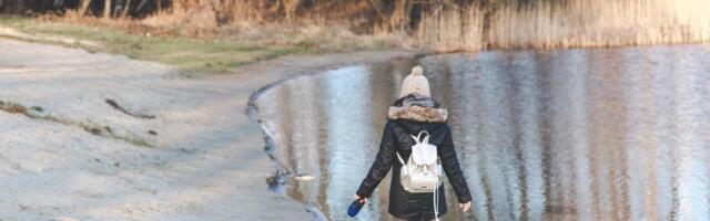 Prvi dan nove godine donosi hladno vreme, saveti da ostanete bezbedni: Bioprognoza za 1. januar