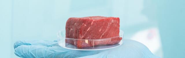 Kina ulaže milijarde u laboratorijsko meso: Gigantske fabrike proizvode 11.000 tona proteina godišnje