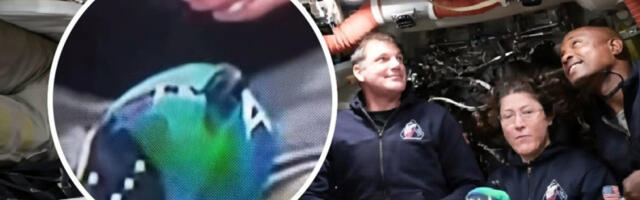 Detalj na snimku astronauta pokrenuo teorije zavere: “I moj pas zna da je lažno” (VIDEO)