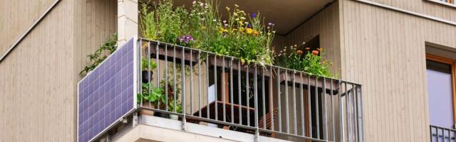 Cveće koje voli hlad: Koje biljke da sadite tamo gde sunce ne dopire