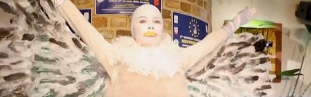 Више од 70 такмичара на Европском првенству у опонашању крика галебова