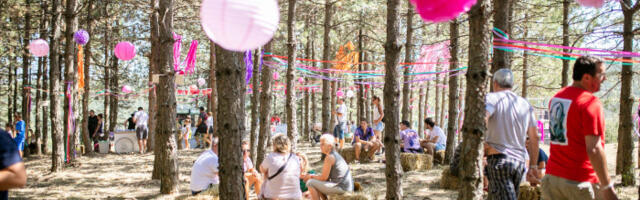 Objavljena satnica festivala Mountain Music Fest na Divčibarama