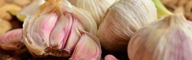 Stavite čen belog luka ispod jastuka pre spavanja i šokiraće vas rezultat: Sve više ljudi radi ovo