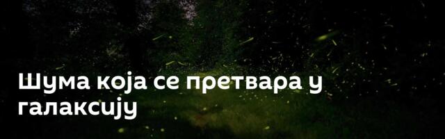 Шума која се претвара у галаксију