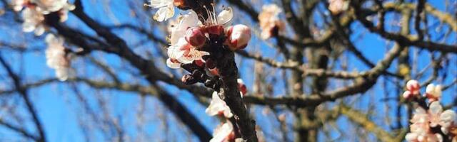 Dan koji prija telu, ali traži jednu važnu meru opreza: Bioprognoza za 25. april