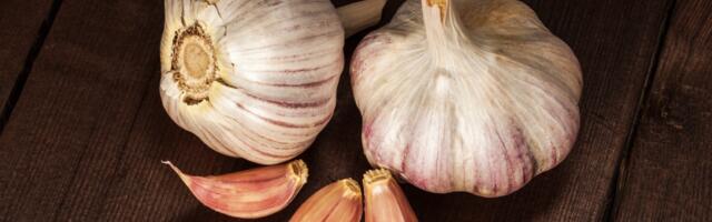 Beli luk u borbi protiv hipertenzije