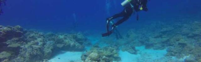 Tajne “zone sumraka”: Šta je otkriveno u dubinama Pacifika?