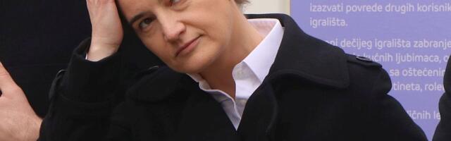 Brnabić: Pri kraju pregovori o NIS-u, ali ne bih da pametujem - da ne pokvarim nešto