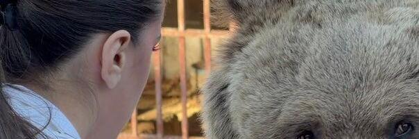 Maša i Ljubica: Medvedice koje ne mogu da žive bez ljudi