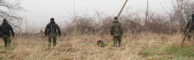 Мистерија случаја Данке Илић и даље траје